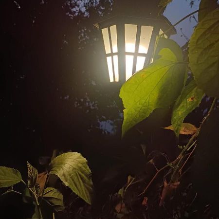 Aam'S Courtyard Hotel Kalimpong Buitenkant foto