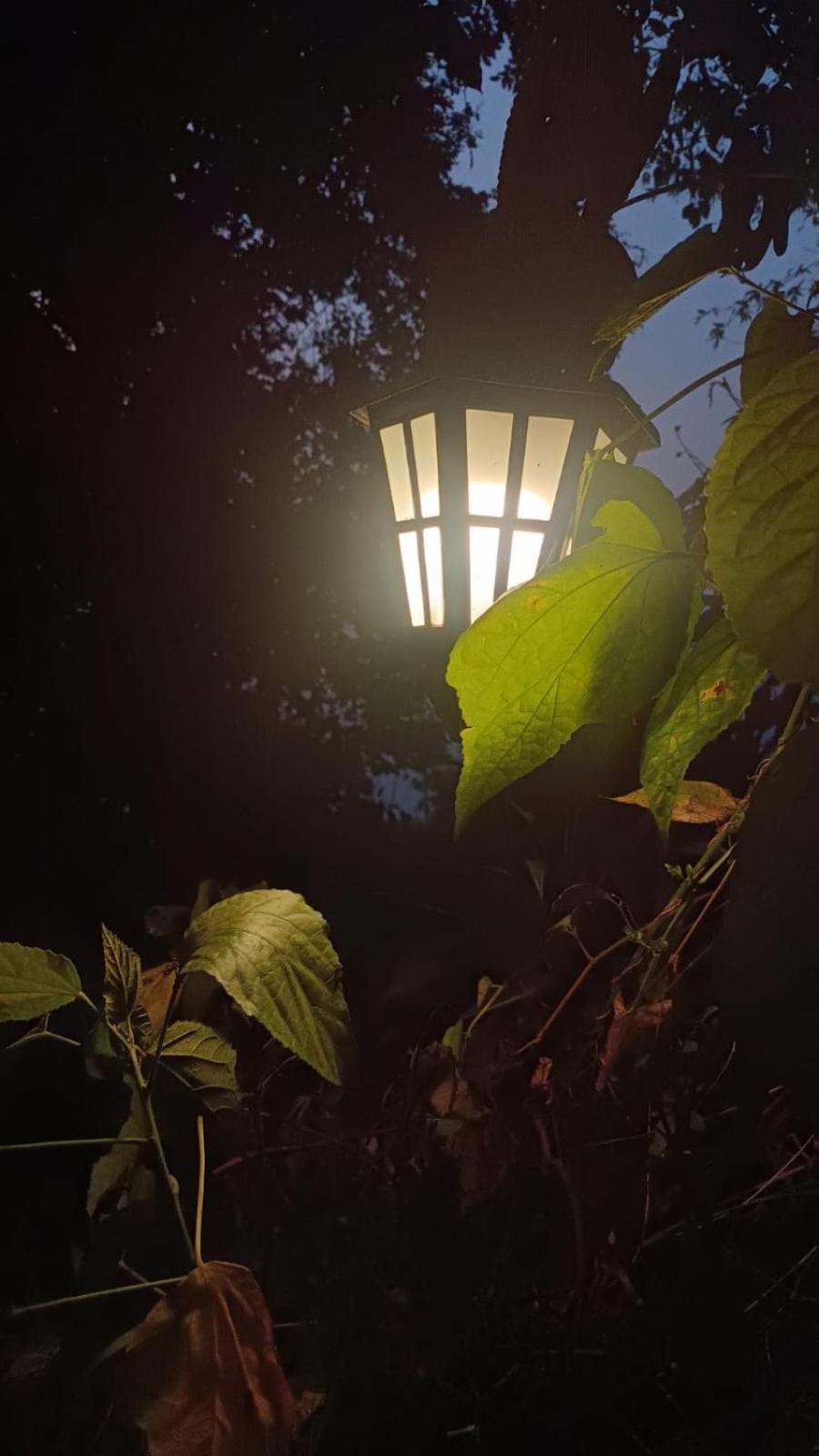 Aam'S Courtyard Hotel Kalimpong Buitenkant foto