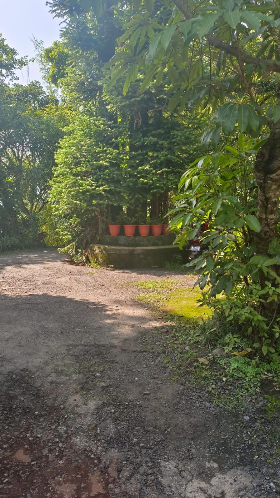 Aam'S Courtyard Hotel Kalimpong Buitenkant foto