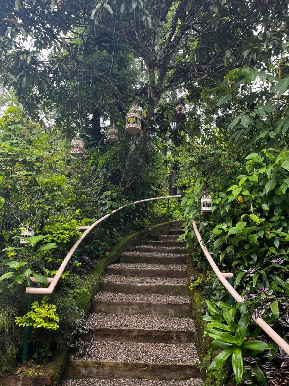 Aam'S Courtyard Hotel Kalimpong Buitenkant foto